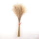 thumbnail image 4 of Hierba de Pampas seca Natural, arreglos florales, decoración de habitación Bohemia, ramo de flores para Festival, sala de , decoración de ,, 4 of 9