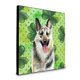 thumbnail image 1 of "Treasures East-European Shepherd St Patrick's Panel wall-decor, Multicolor" Caroline's Treasures BB9823UP88, 1 of 1