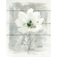 thumbnail image 2 of Robinson, Carol 26x32 White Modern Wood Framed Museum Art Print Titled - Farmhouse Rose II, 2 of 4