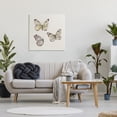thumbnail image 3 of Stupell Industries Transitional Delicate Butterflies on Beige Canvas Art, 30 x 30, by Patricia Pinto, 3 of 8