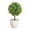 K, variant on Steadline Artificial Potted Plants Set - Lifelike Faux Greenery for Home Office Decor - Maintenance Free Indoor Plants for Living Room Bedroom Tabletop Decoration