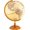 Bronze, variant on NurtureTail 12-Inch Illuminated World Globe, Desktop Globe with Raised Relief, LED Lights, Time Zone Details & Wooden Base, Educational Geographic Globe for Home, Office & Living Room Decor (Bronze)