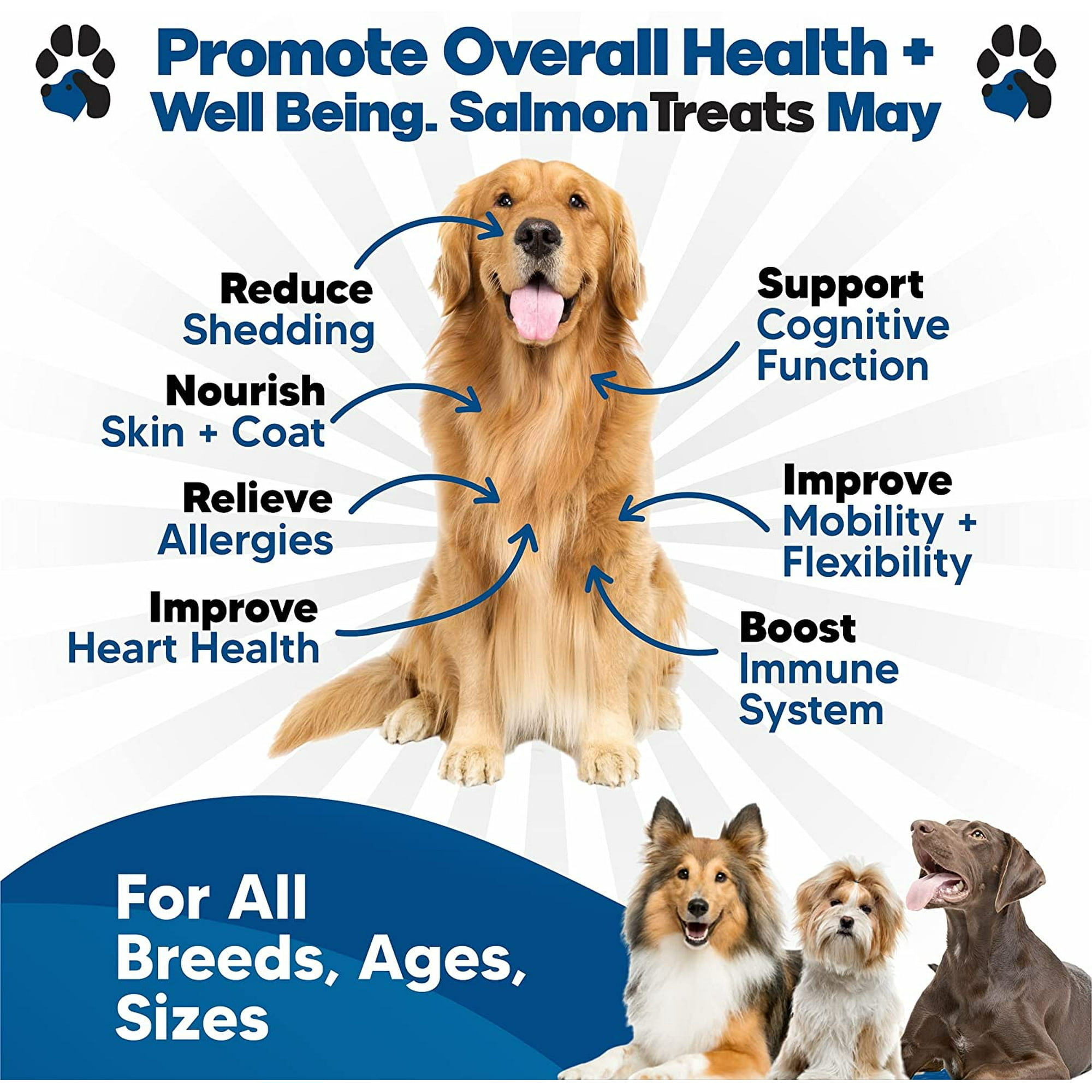 Planopaws Salmon Oil For Dogs Omega 3 Fish Oil For Dogs Itching Skin Relief Dog Allergy Relief Medicine