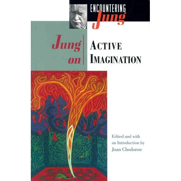 Encountering Jung Jung on Active Imagination, (Paperback)