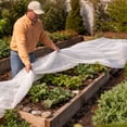 thumbnail image 6 of DeWitt 10x12 Feet N-Sulate Frost Protection & Fabric Cover for Outdoor Plants, 6 of 7