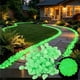thumbnail image 1 of Pack de 200 de piedras de jardín que brillan en la oscuridad, piedras decorativas luminosas para senderos, paisajismo y decoración de acuarios para acuarios, 1 of 5