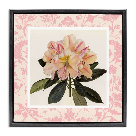 Stupell Industries Pink Vintage Pattern Botanical Black Framed Floater Canvas Wall Art, design by Livi Finn