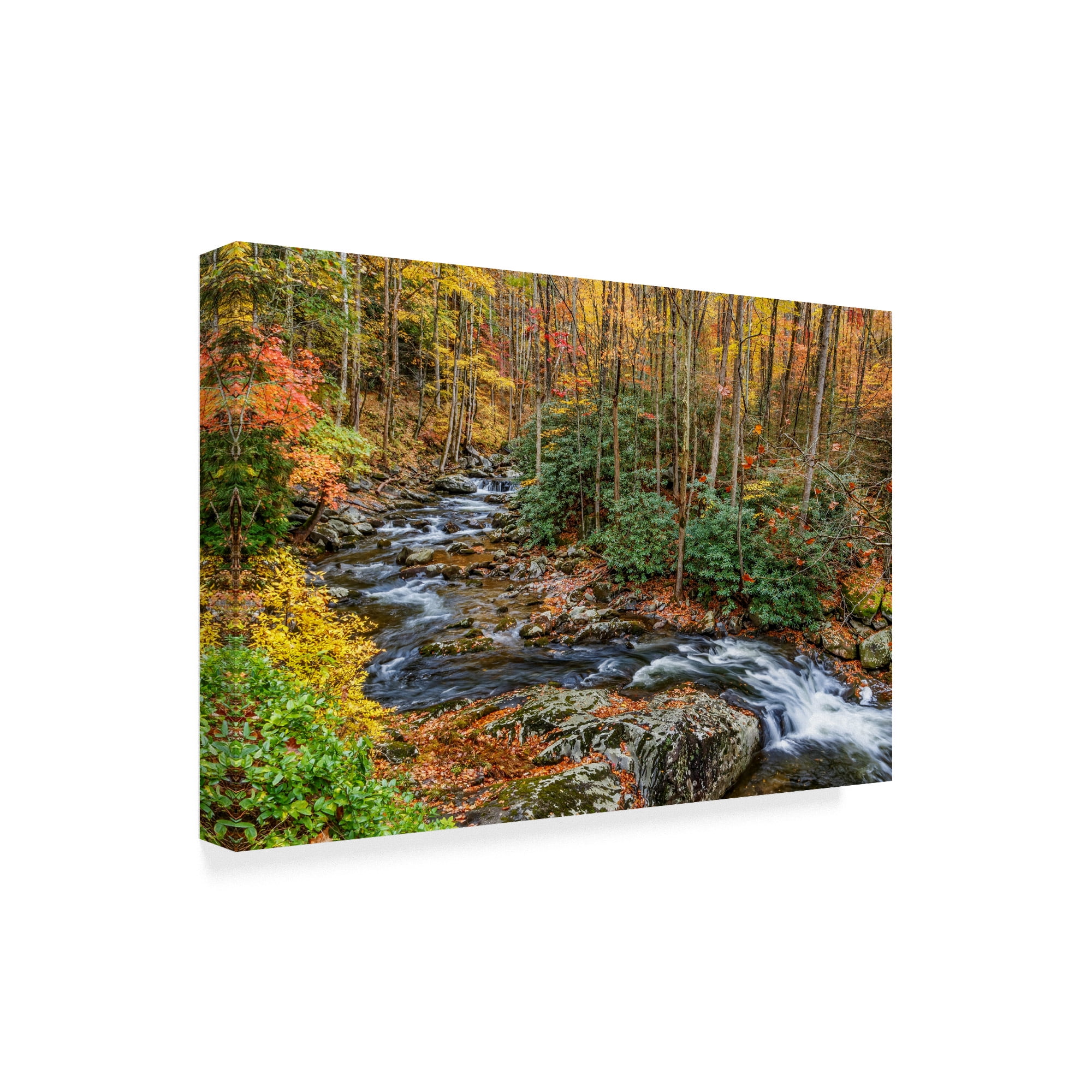 Trademark Fine Art 'Tremont Stream' Canvas Art by Galloimages Online