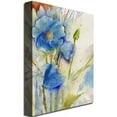 thumbnail image 2 of Trademark Art "Magical Blue Poppy" Canvas Art by Sheila Golden, 2 of 2