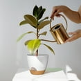 thumbnail image 3 of FIASON 5 Pack 6 Inch White with Brown Self Watering Plant Pots, with Watering Lip, Drainage Holes & Removable Saucer, Flower Planters for Indoor Outdoor Garden House Plants, 3 of 11