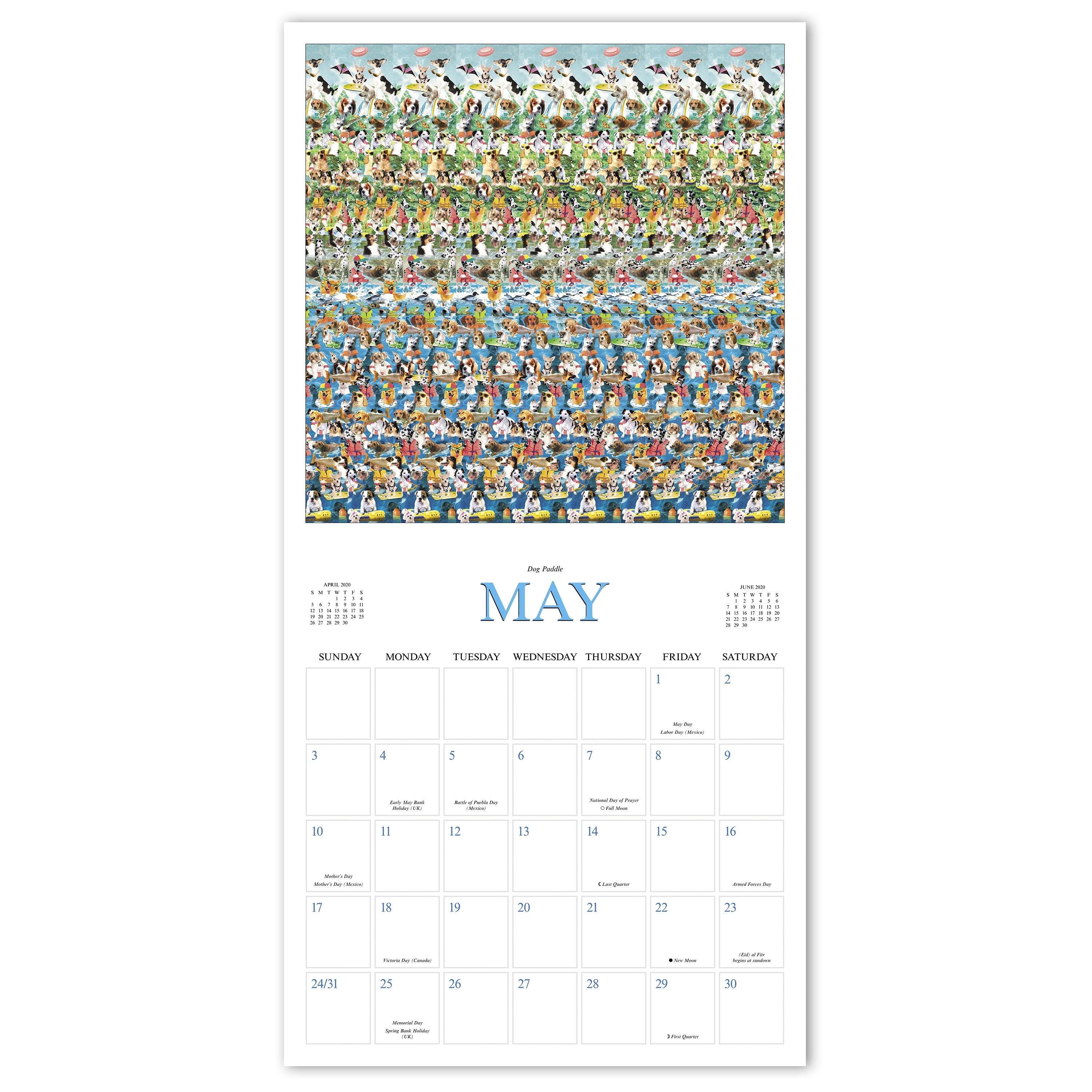 Wild Free 2020 Wall Calendar 12 Month New Sealed 11 X 11 W
