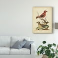thumbnail image 3 of Trademark Fine Art 'Edwards Cross Bills' Canvas Art by George Edwards, 3 of 4