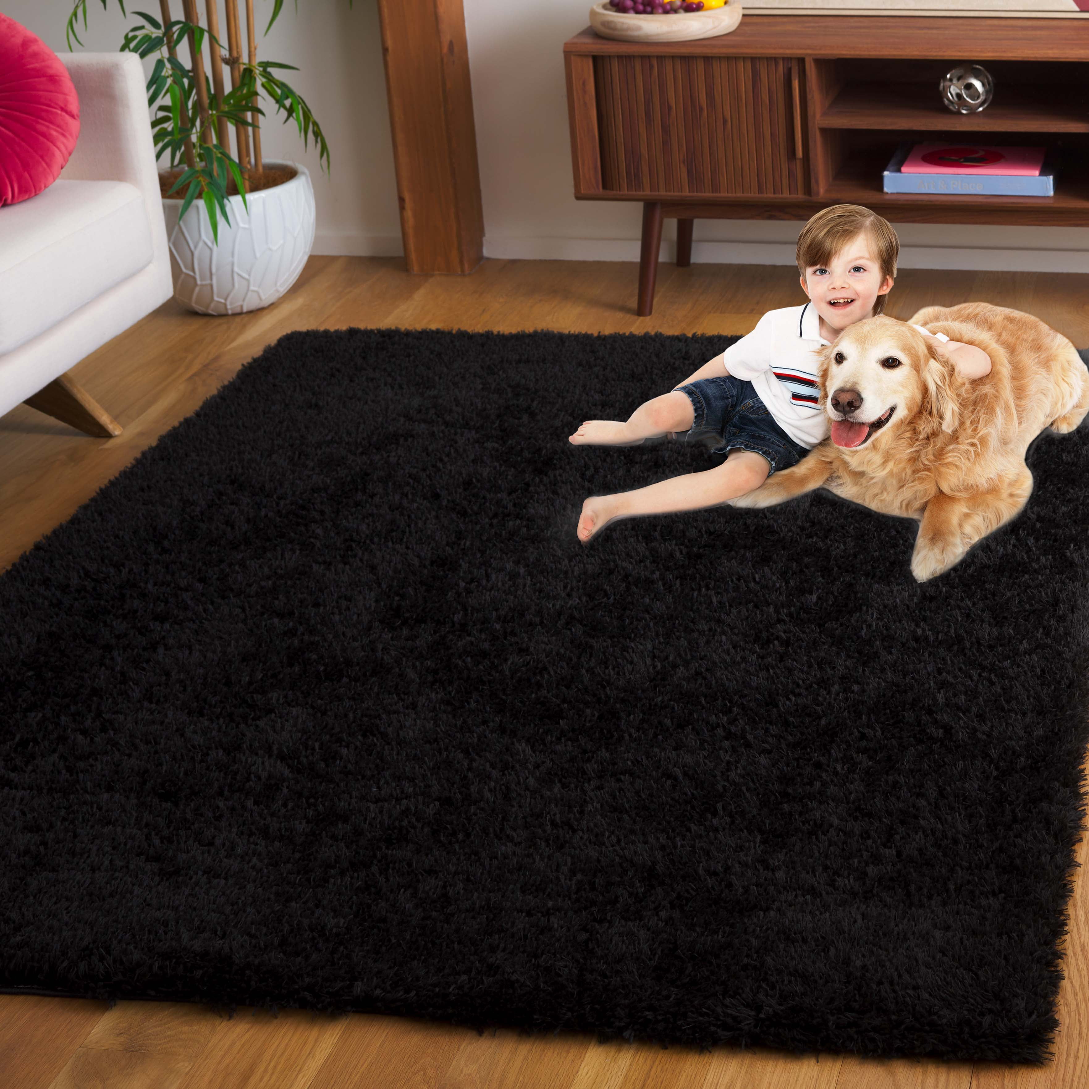 Safavieh Lindsay Deborah Solid Polyester Shag Area Rug, Black, 3' x 5'