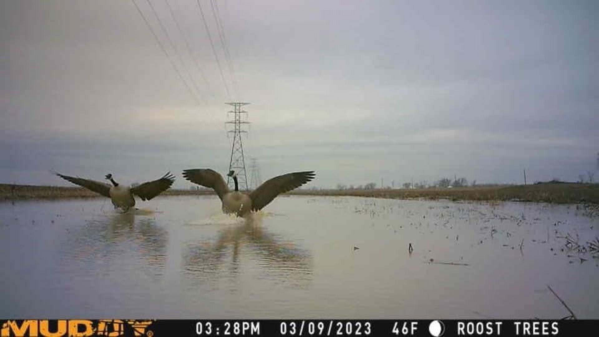 Muddy Outdoors Mitigator Cellular Trail Camera 20 MP