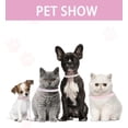 thumbnail image 3 of Breakaway Cat Collars with Bell,Adjustable Safe Kitten Collar,Cat Collars for Girl Cats with Rhinestone Soft Velvet, 3 of 7