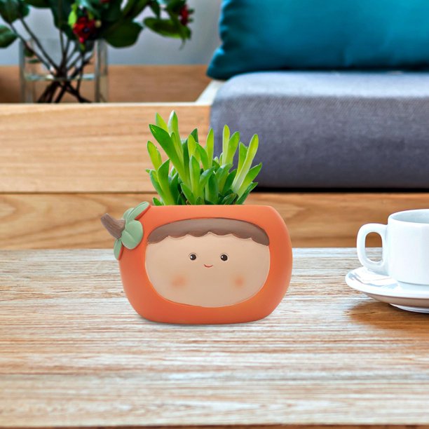 para flores, portalápices, caja pequeña para bonsái, para jardín de hadas, s para interiores y exteriores, alféizar de ventana, , NARANJA CUTICAT Florero Contenedor