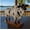 B, variant on Bulls Liquor Dispenser, Funny Liquor Dispenser with Stable Base Funny Drink Dispensers Countertop Whiskeys Dispensers for Bottle Large Capacity Handcrafted Decanter for Home Celebration