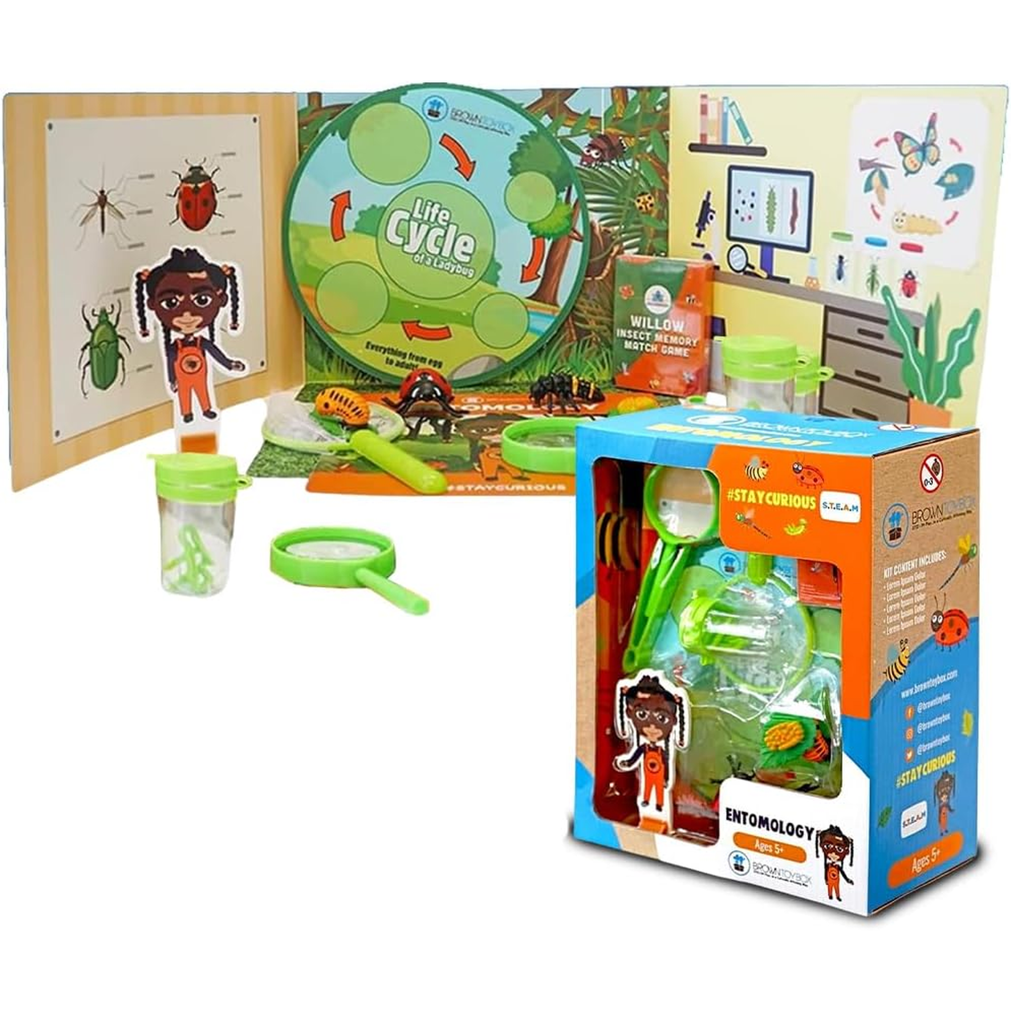 Brown Toy Box Willow Entomology STEAM Kit for Kids Ages 6+, Insect Science STEM Learning Toy, Educational Activity Set