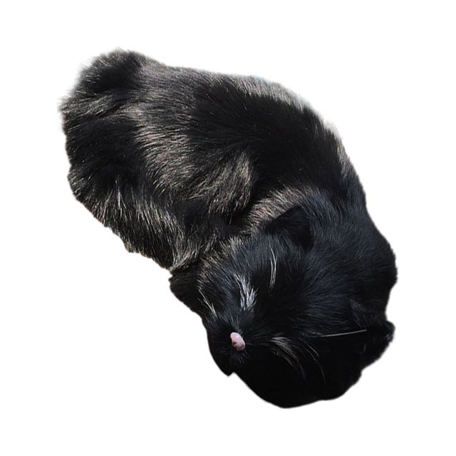 Transemion Wide Application Emulation Sleeping Breathing Cat For Soft Touch Safe Decoration black 1Set