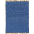 thumbnail image 1 of Verginia Berber Blue 3 ft. 6 in. x 5 ft. 6 in. Accent Rug, 1 of 6