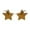 Coffee, variant on Only Moment Sunglasses Womens Trendy Fashion Accessories Alloy Vintage 90S Y2K Trendy Designer Sun Glasses Coffee One Size