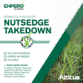 thumbnail image 4 of Empero Q-Pak Nutsedge Killer Turf Herbicide (13.5 Grams) Halosulfuron-methyl - Kills Nut Grass in Established Lawns, Ornamental Turfgrass, & Landscape Areas (1-Pack), 4 of 8