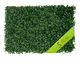thumbnail image 1 of Muro Verde Follaje Artificial Sintético Pared 60x40cm 5 Pzs Xtellar Verde, 1 of 4