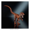 thumbnail image 2 of Figura de Acción Mattel Jurassic World Velociraptor, 2 of 4