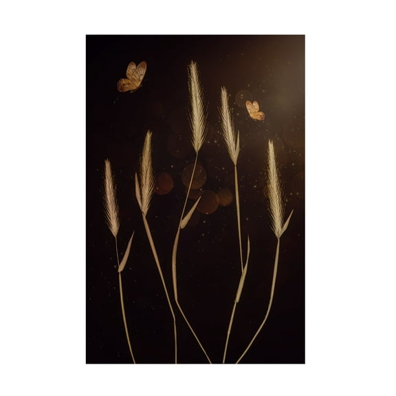 Canvas Wall Art - Cicek Kiral 'When It Is Dark' Wall Art for Living Room, Bedroom, or Office Décor by Trademark Fine Art - 12 x 19 Inches