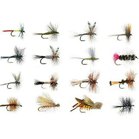 Feeder Creek Fly Fishing Assortment - Wet and Dry Flies for Trout Fishing - 16 Patterns (3 of