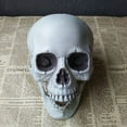 thumbnail image 5 of CNKOO Halloween  Artificial Skull Head Model Skull Bone Scary Horror Skeleton Ornament, 5 of 5