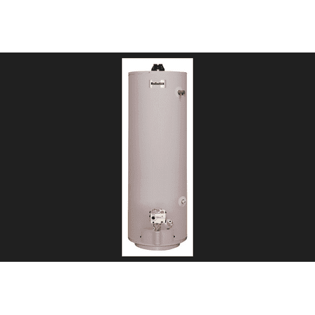 Reliance Natural Gas/ LP Mobile Home Water Heater 58-3/4 in. H x 20 in. L x 20 in. W 40 gal.