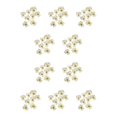 thumbnail image 2 of Kearding 12 piezas de flores secas para manualidades, adornos de maquillaje, flores prensadas, manualidades Type2 NO2, 2 of 6