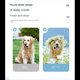 thumbnail image 2 of Recortador de Pelo Multifuncional para Mascotas, con Succión Eléctrica, Flotante y Silencioso para Gatos y Perros., 2 of 8