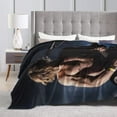 thumbnail image 4 of Ross Lynch Blanket Bedding Fleece Blanket Soft Throw Blankets Lightweight Anti-Static Blanket - 3 Sizes, 4 of 5