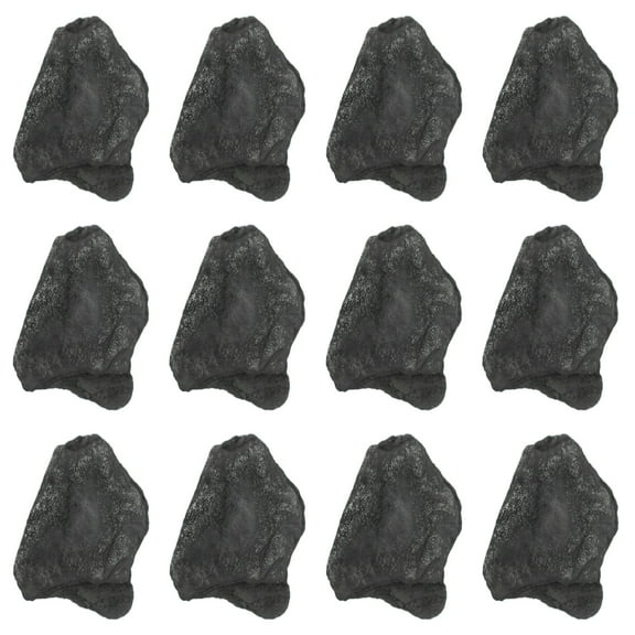 12PK Raw Anthracite Coal, Metamorphic Rock Specimens - Approx. 1" - Geologist Selected & Hand Processed - Great for Science Classrooms - Class Pack - Eisco Labs