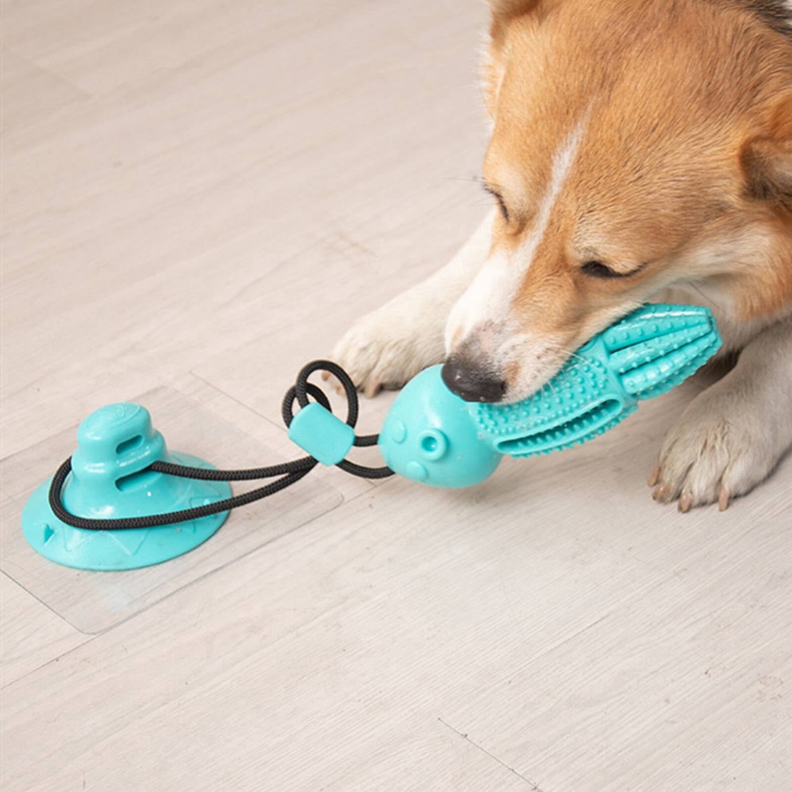 BESTSKY 2026 New Dog Ball Maintains Oral Hygiene Puppy Teething Toy Attracts Pet Interest Dog Chew Toy Green for Dental Care Teething Relief Interactive Play Puppy Entertainment