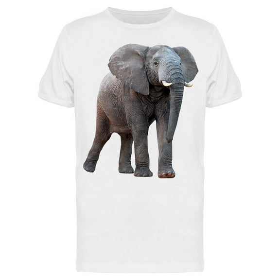 Beautiful Elephant, Frontview T-Shirt Men -Image by Shutterstock, Male Small