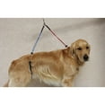 thumbnail image 2 of Downtown Pet Supply No Sit Grooming Loop Restraint for Dog Grooming, Dual Loop S/M, 2 of 8