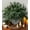 12 Pcs Cedar Stems, 2 Pcs Small Pinecone Stems, variant on Faux Cedar Stems Artificial Norfolk Pine Branches for Christmas Decorations, 17 PCS Faux Pine Stems with Pinecones Red Berries Branches Realistic Faux Greenery for Vases DIY Garland Xmas Table Indoor