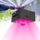 thumbnail image 4 of Luz LED COB para crecimiento de plantas de espectro completo para vegetales de invernadero, 110 V/220 V, enchufe de EE. UU./UE, 300 W, 4 of 8