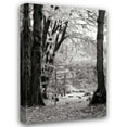 thumbnail image 1 of Dana Styber 13x18 Gallery Wrapped Canvas Wall Art Titled - Baker Lake Trail II, 1 of 4