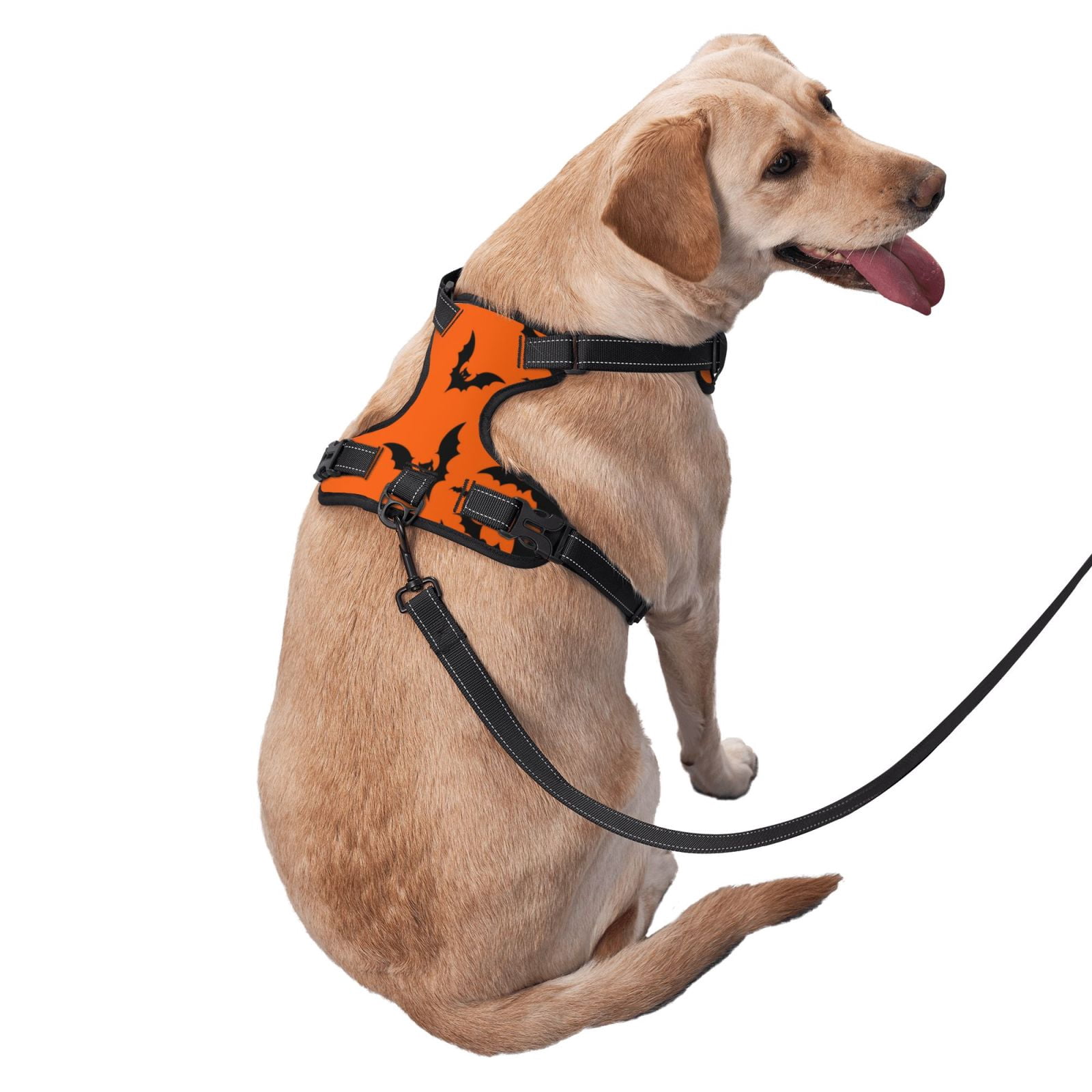 Fuzoiu Halloween Bats Print Reflective Dog Harness,Adjustable, Breathable Pet Vest,Dog Harness No Pull,No Choke Pet Vest for Small, Medium, and Large Dogs-Small