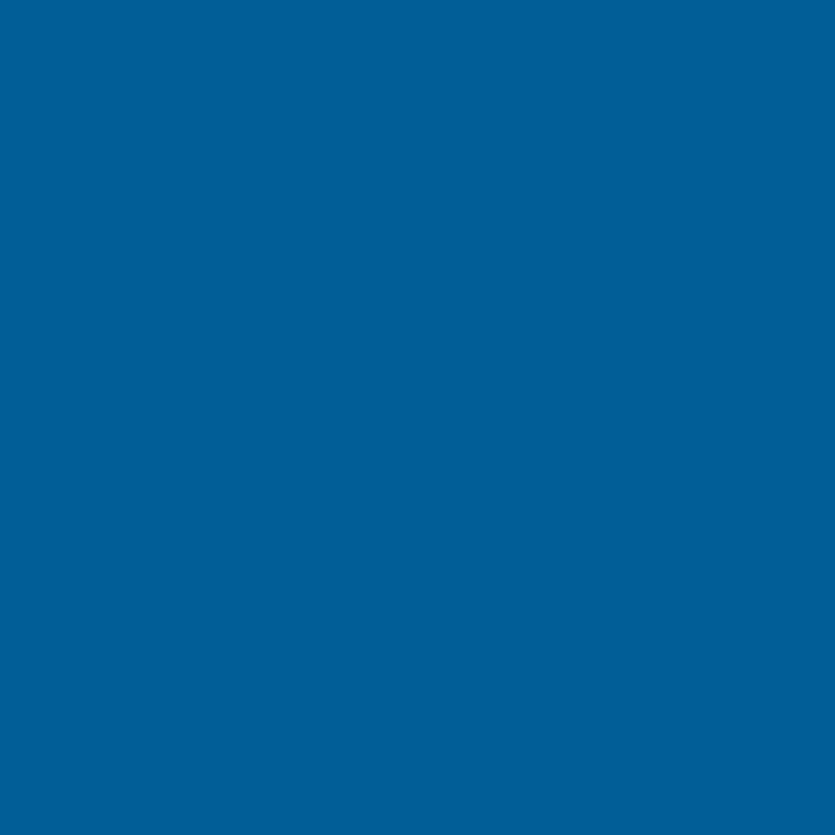 Craft Smart 8oz. Bright Blue Acrylic Paint - Non-Toxic Paint for Drawing, Painting, Art & Crafts Supplies - Bulk 8 Pack