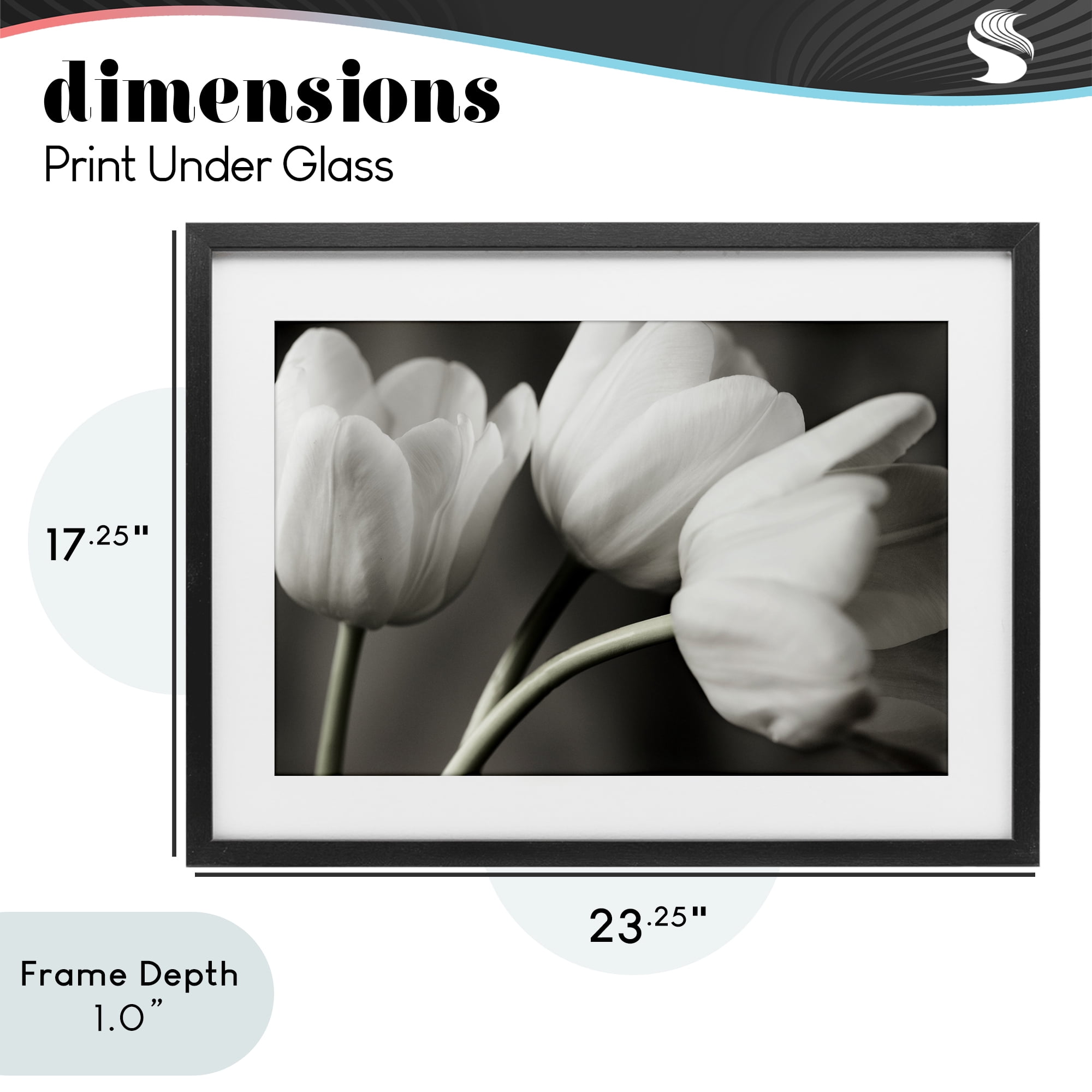 Stupell Industries Row Of Monochrome Tulips Black Framed Print Under Glass, design by Tom Quartermaine