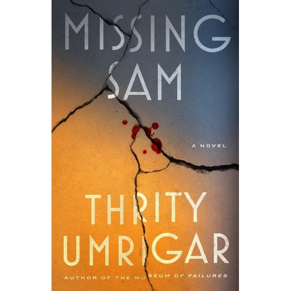 Missing Sam: A Novel (Hardcover)