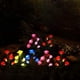 thumbnail image 3 of Lámpara solar Laklulu para decoración de jardín con 5 luces LED de rosas, 3 of 7