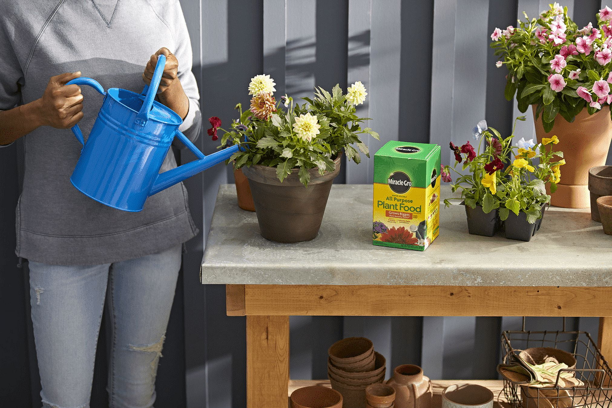 Miracle-Gro Water Soluble All Purpose Plant Food 3 lb.