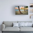 thumbnail image 3 of Dennis Frates 'Palms 7' Canvas Art, 3 of 3