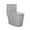 Grey, variant on Dreux One Piece Elongated Dual Flush Toilet with 0.95/1.26 GPF